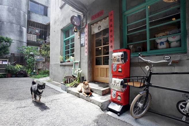 花蓮寵物友善住宿